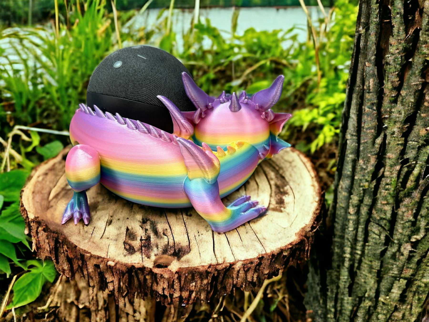 Farbenfroher Drachen Halter passend für Echo Dot 5 aus nachhaltigem Material